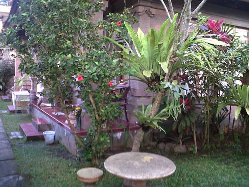 Ubud Indon&eacute;sie Bali Code Promo Booking.com