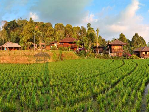 Munduk Indonésie Bali Code Promo Booking.com