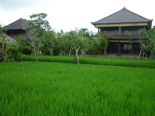 Ubud Indon&eacute;sie Bali Code Promo Booking.com