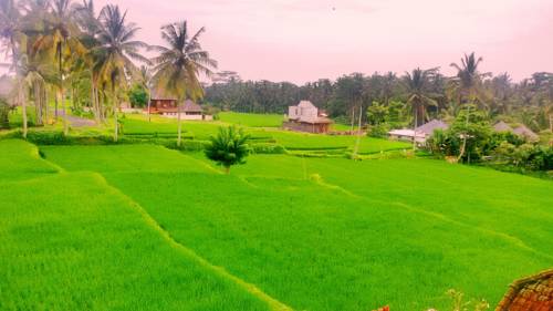 Ubud Indonesien Bali Aktionscode Booking.com