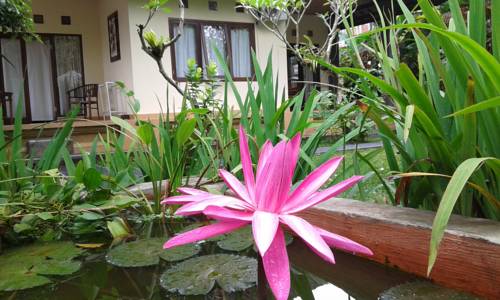Bali booking.com