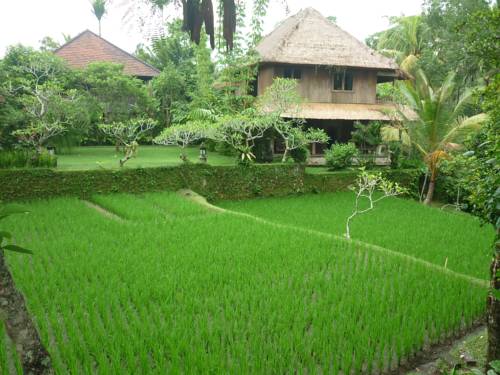 Ubud Indon&eacute;sie Bali Code Promo Booking.com