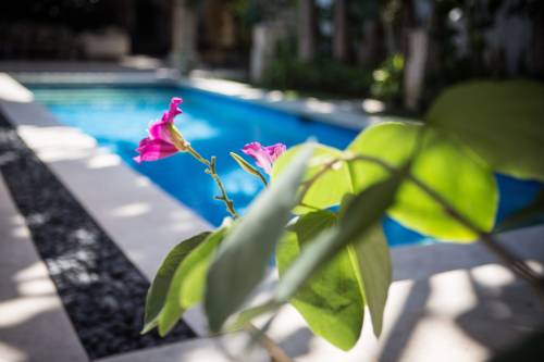 Seminyak Indonesien Bali Aktionscode Booking.com