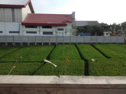 Canggu Indonesien Bali Aktionscode Booking.com