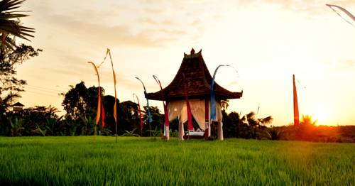 Ubud Indon&eacute;sie Bali Code Promo Booking.com