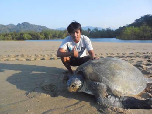 Banyuwangi Indonésie Bali Code Promo Booking.com