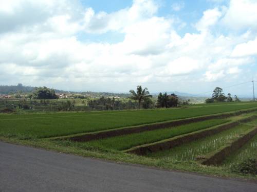 Tabanan Indonésie Bali Code Promo Booking.com