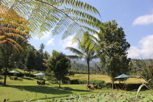 Munduk Indonésie Bali Code Promo Booking.com